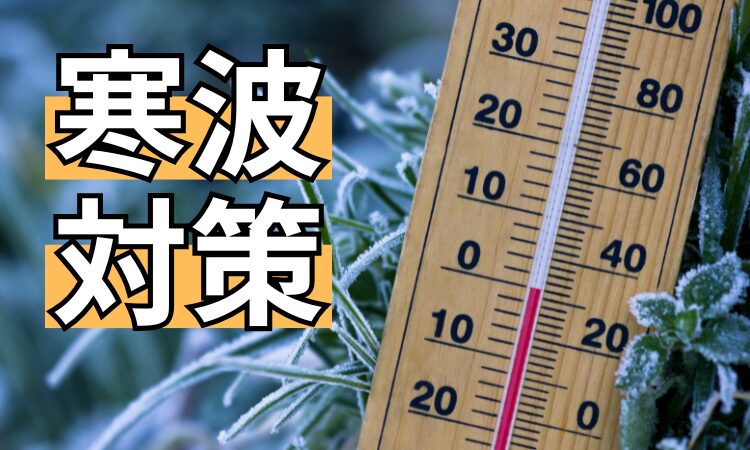 寒波、対策、日向市